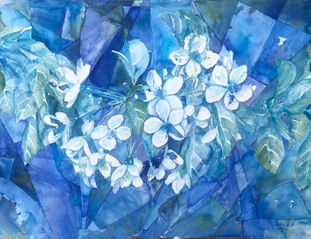 Blue dream flowers